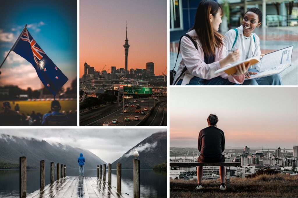 study-in-new-zealand study-in-new-zealand