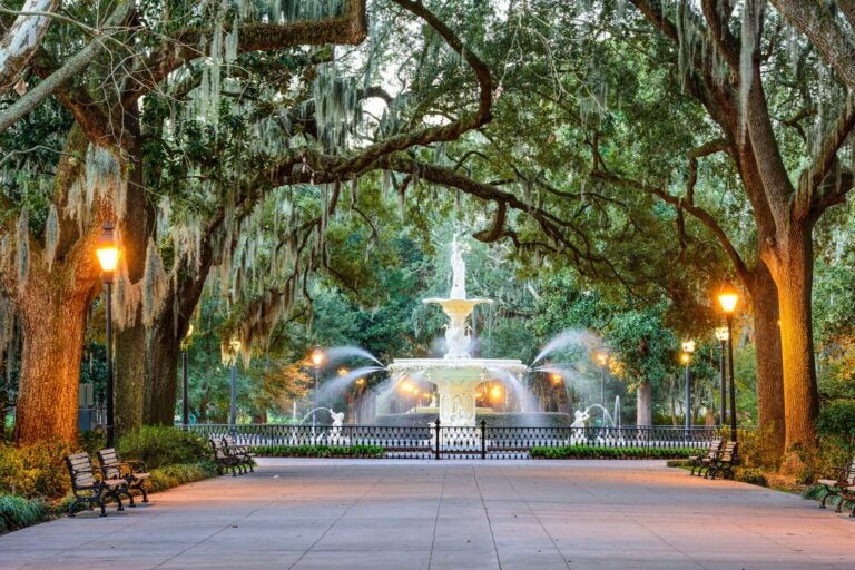Plaza in the city of Savannah, USA, with a small fountain, large trees, and park benches.