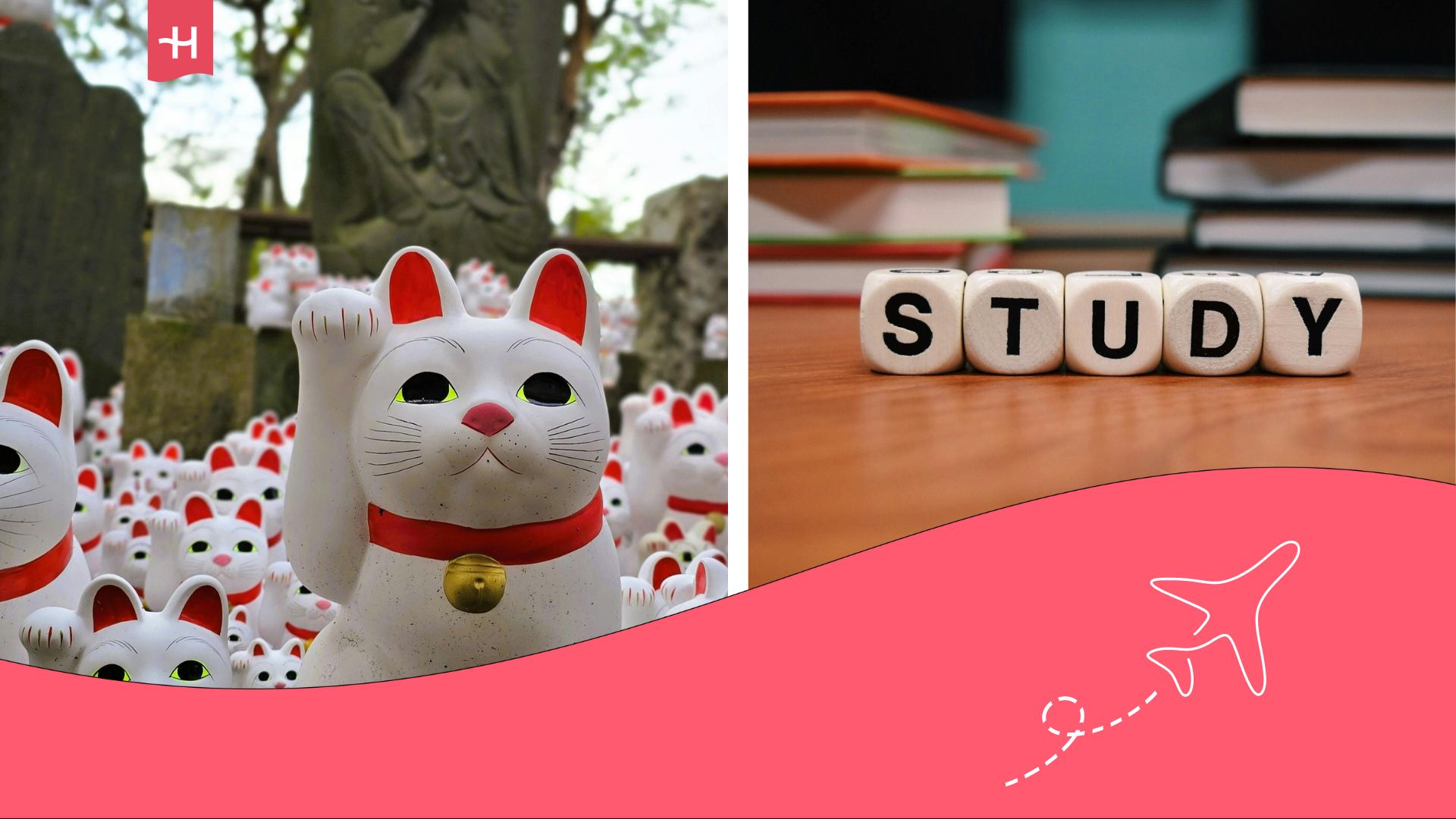 How to study in Japan as a foreigner