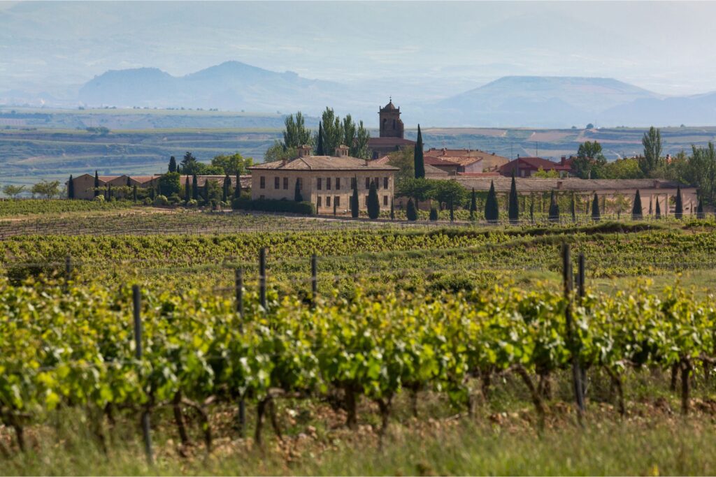 Vineyards and large houses in the town of La Rioja, Spain.