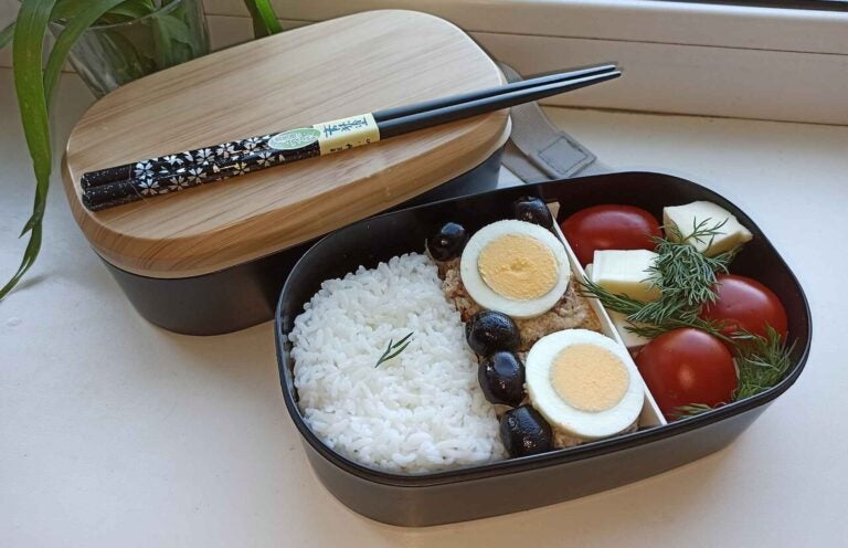 Homemade bento box