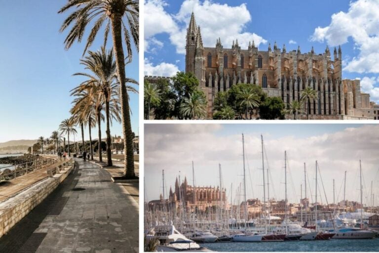 coliving-palma-in-mallorca