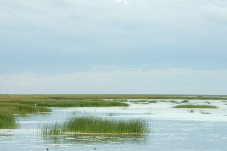 Chongming Island on a grey and cloudy day.