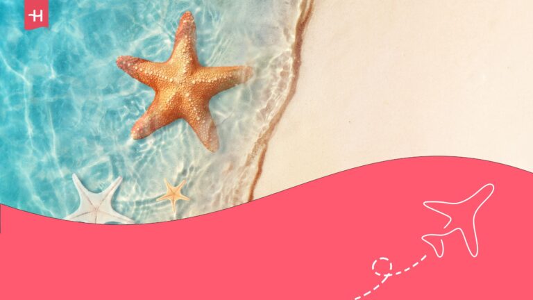Ocean bed with orange starfish resting in the water. Holafly logo on the top left and an illustration of an aeroplane on the bottom right.