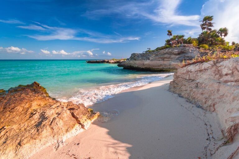 The beach, palm trees and shore of Playa del Carmen.