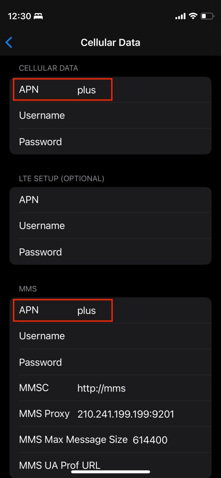 Manually changing APN settings on iPhone