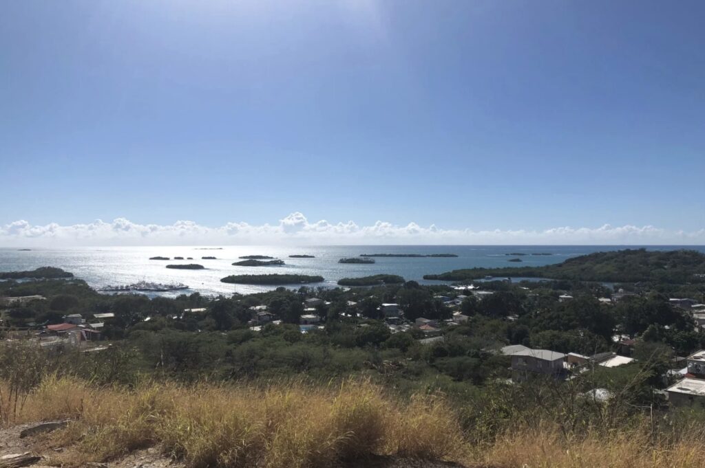 Mayagüez
