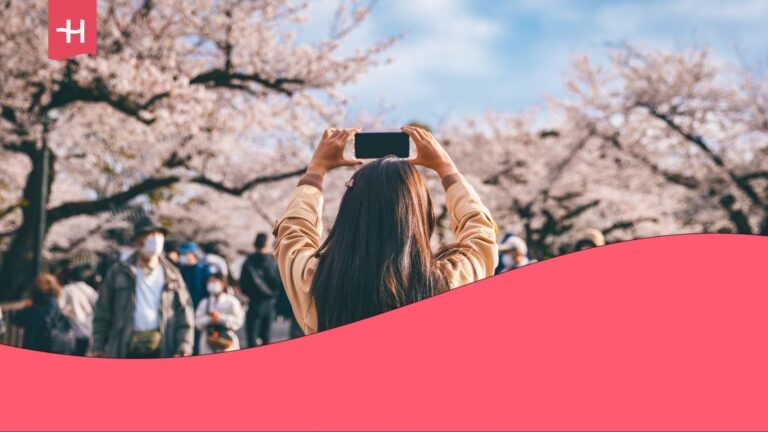 verizon japan