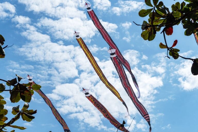 Colourful kites soar across the sky during the annual Bali Kite Festival.