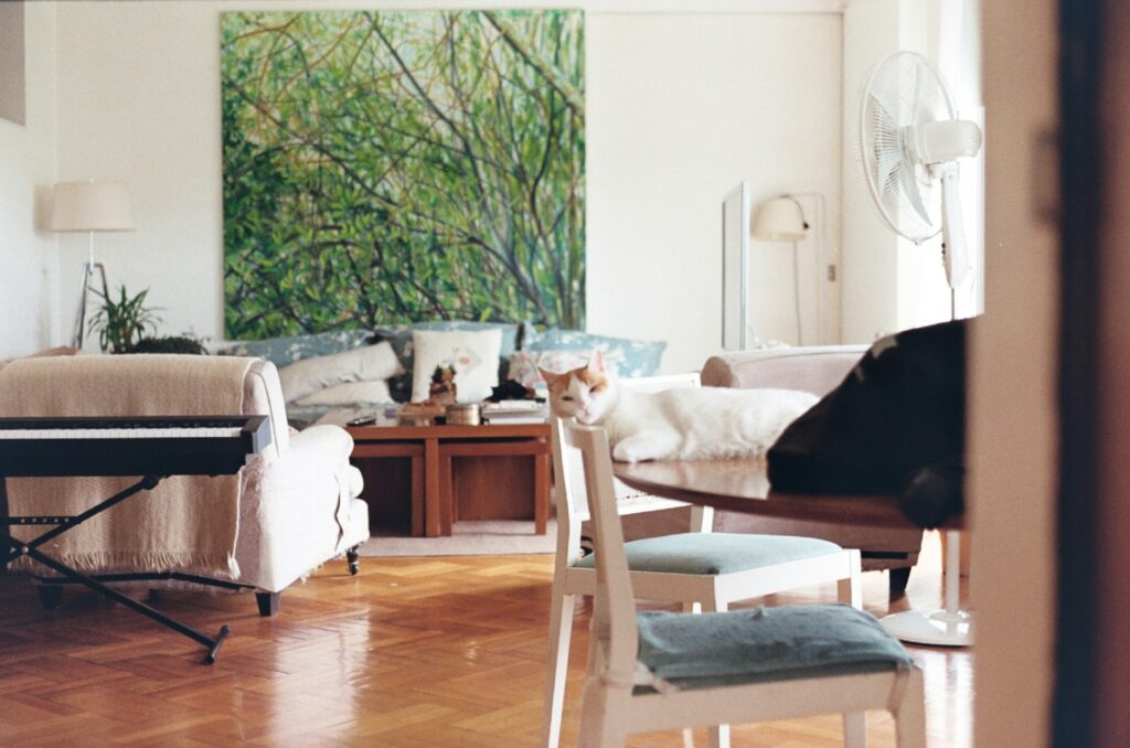 cost of living in buenos aires, housing rent
