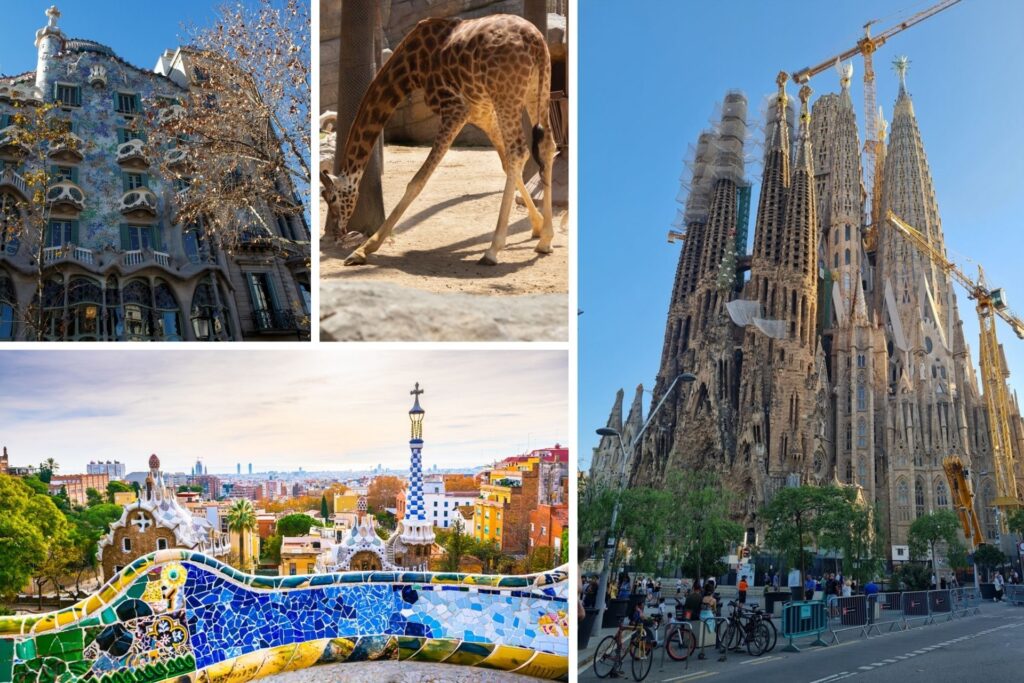 Sagrada Familia, Park Güell, Casa Batlló, and Barcelona Zoo.