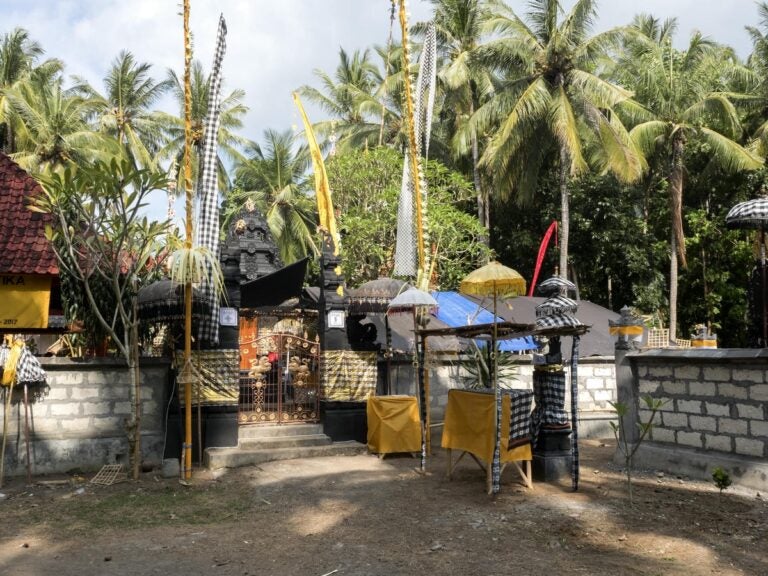 Nusa Penida Festival