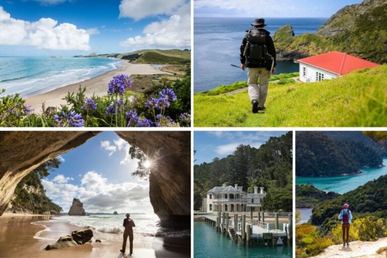 Various New Zealand landscapes — beaches, lakes, and green meadows.