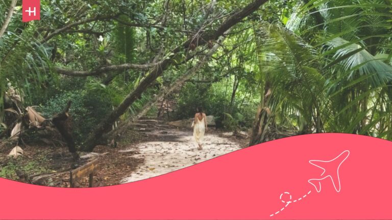 Digital nomad visa in Seychelles, step by step