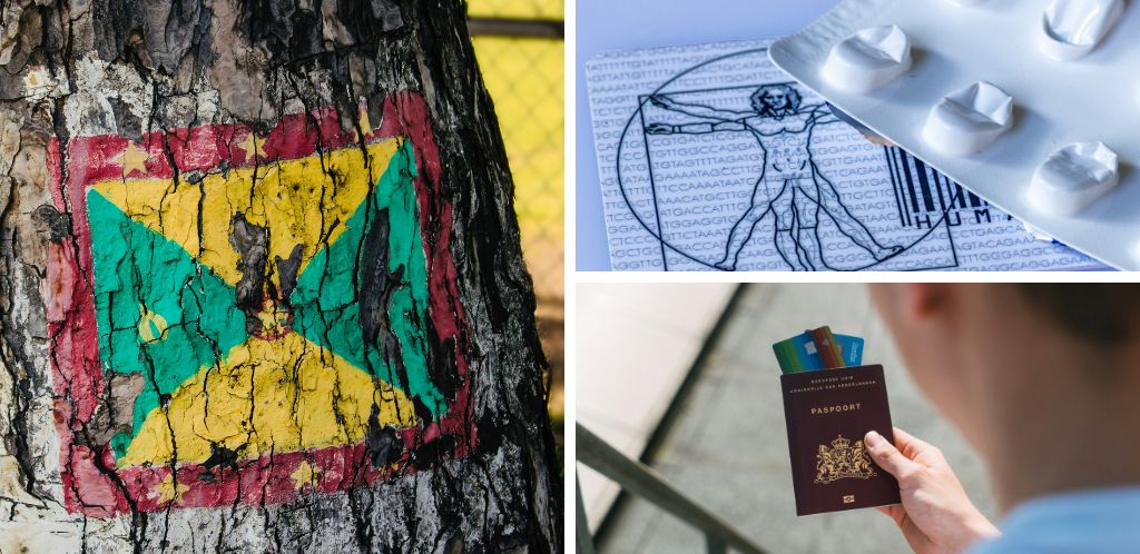 Documents for applying for the Grenada digital nomad visa @Unsplash