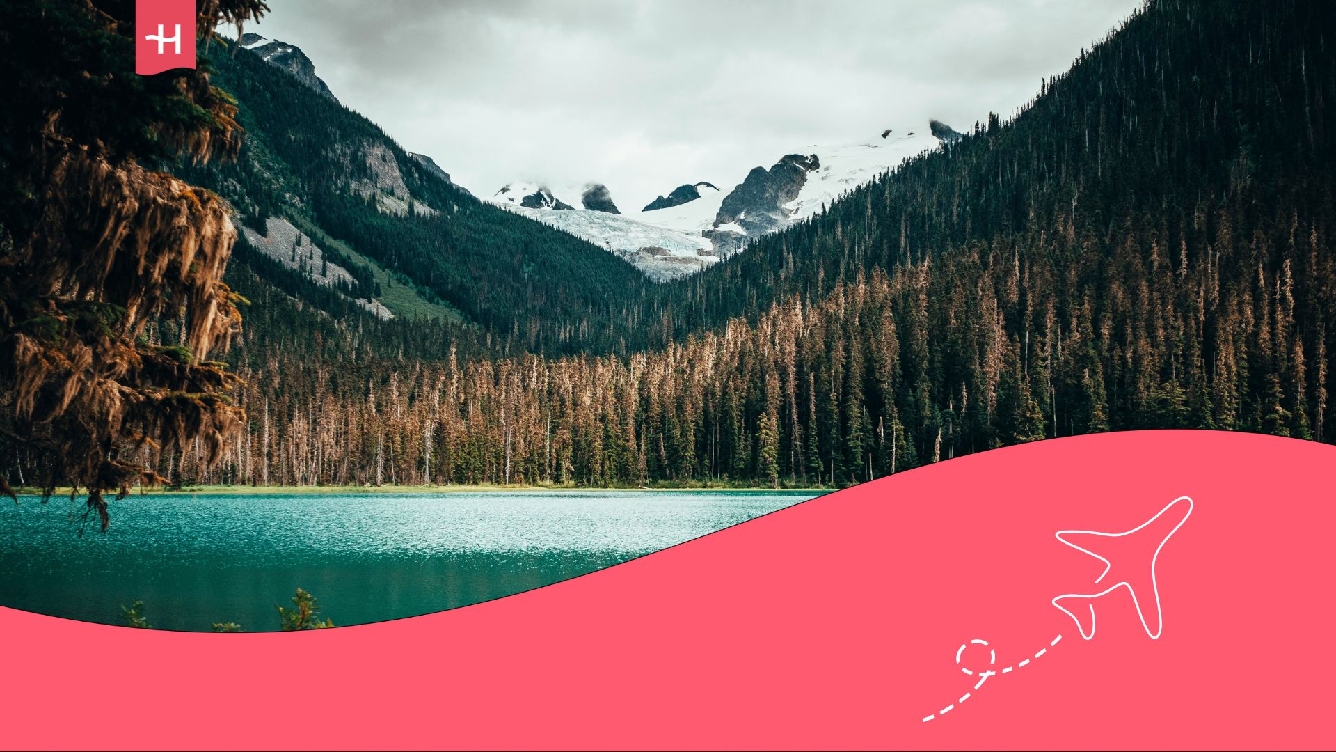 study french in canada