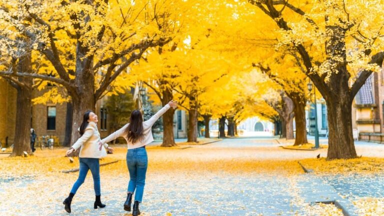 Thanksgiving abroad to Tokyo, Japan