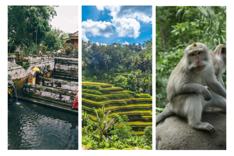 accommodation in ubud for long term stays