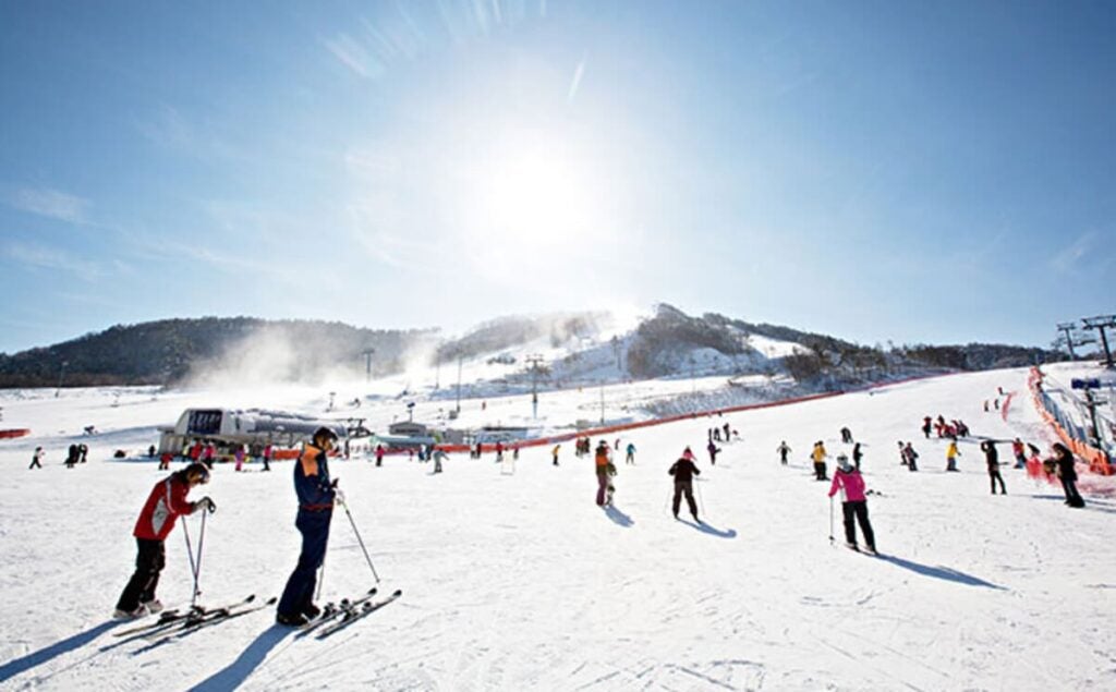 Skiing or snowboarding in Korea alpensia resort