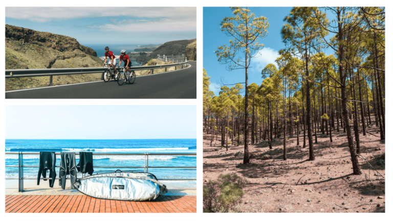 coliving gran canaria