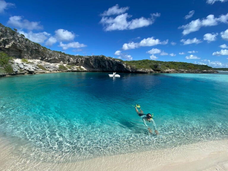 free diving in bahamas