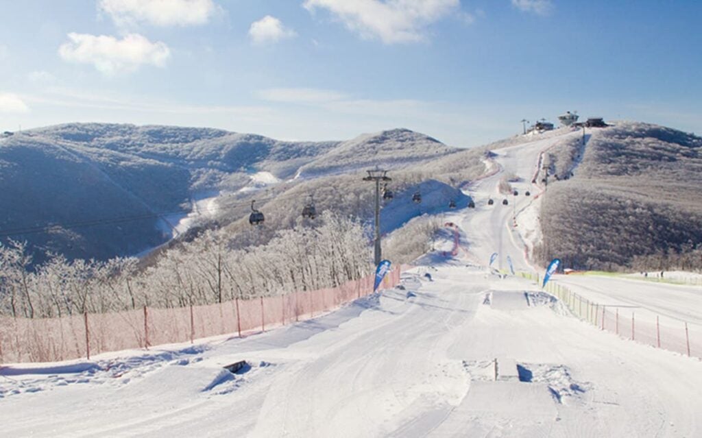 Skiing or snowboarding in Korea high1 resort