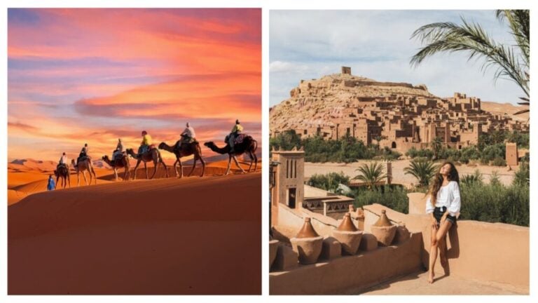 camels and medina morocco