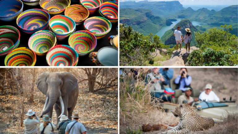 The 5 best travel insurance options for South Africa