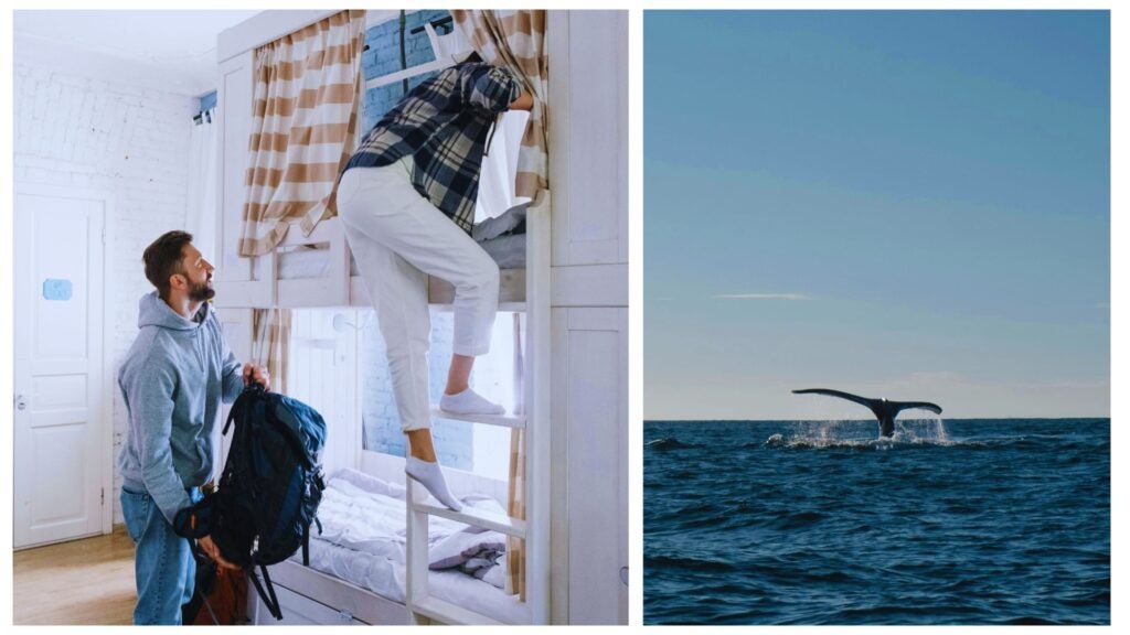 coliving puerto escondido