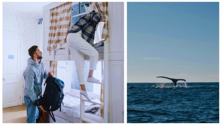 coliving puerto escondido