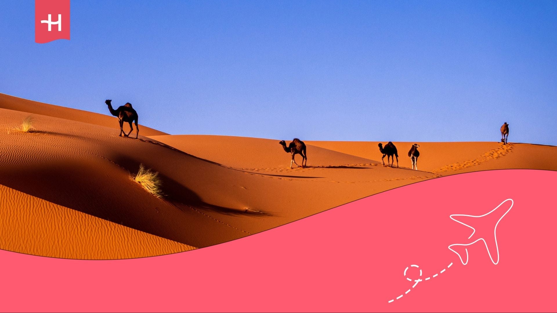 the best co-living spaces in Morocco