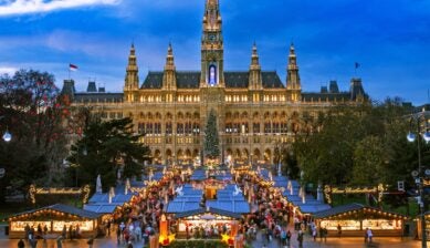 Vienna Christmas market