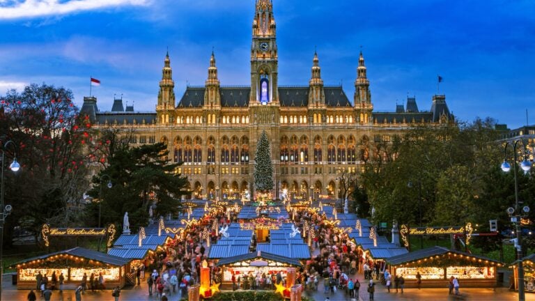 Vienna Christmas market