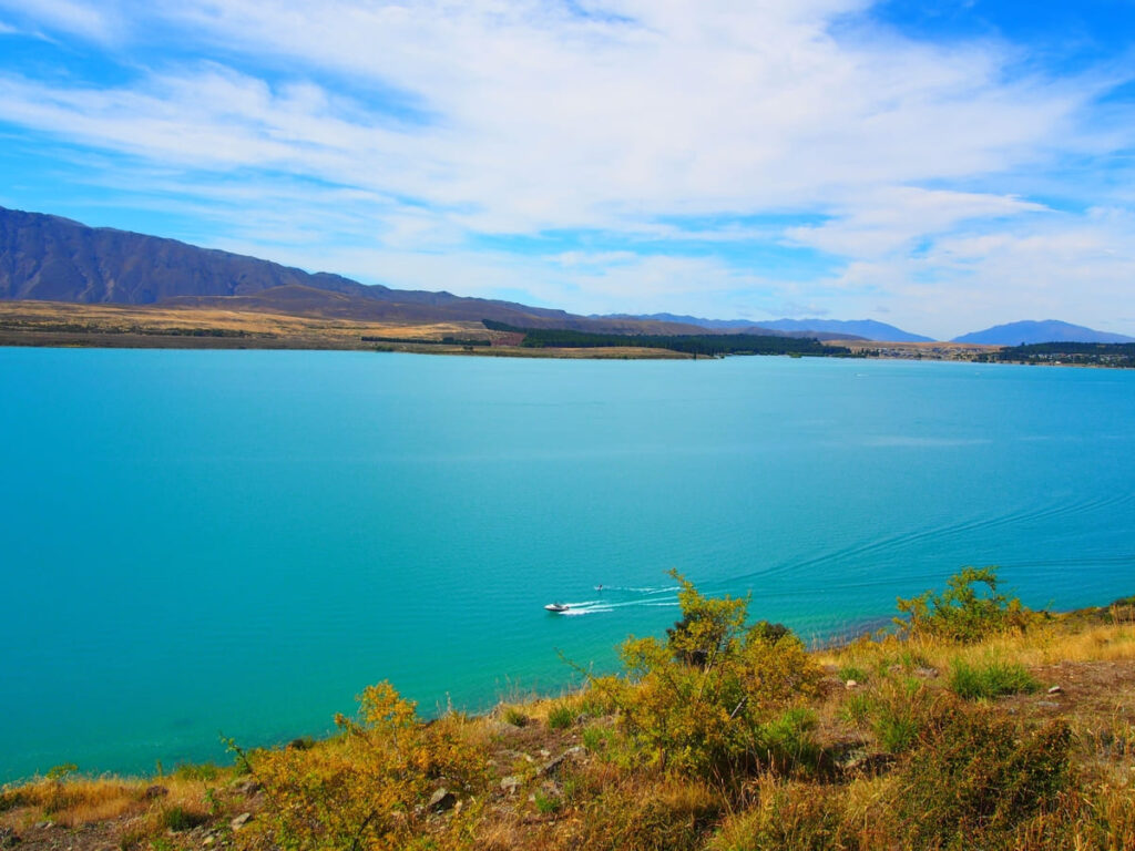 New zealand south island road trip first stop lake tekapo