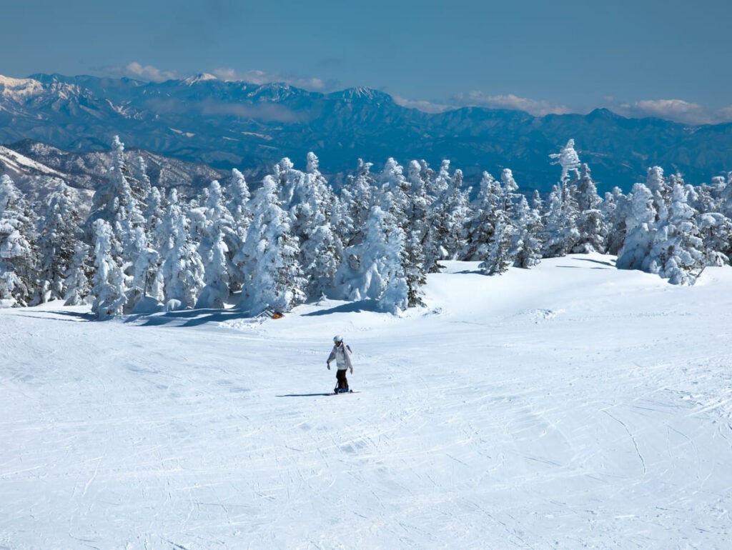 Best ski resort in Japan Shiga Kogen