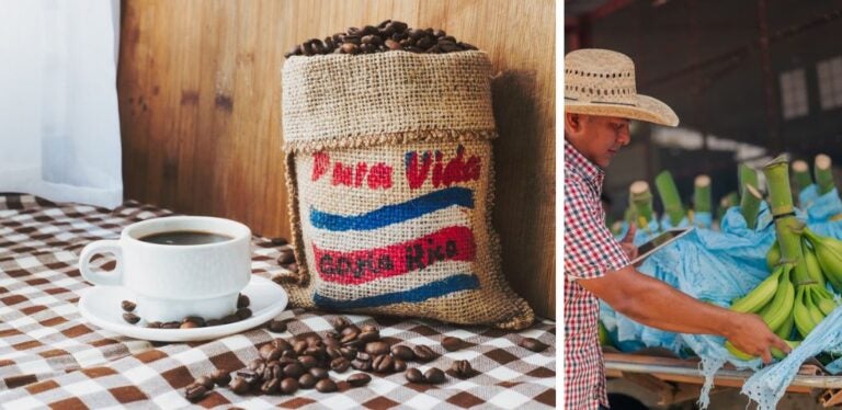 Taxes in Costa Rica for Businesses