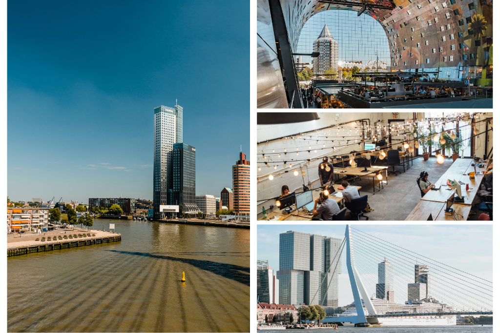 Images of the best places in Rotterdam.