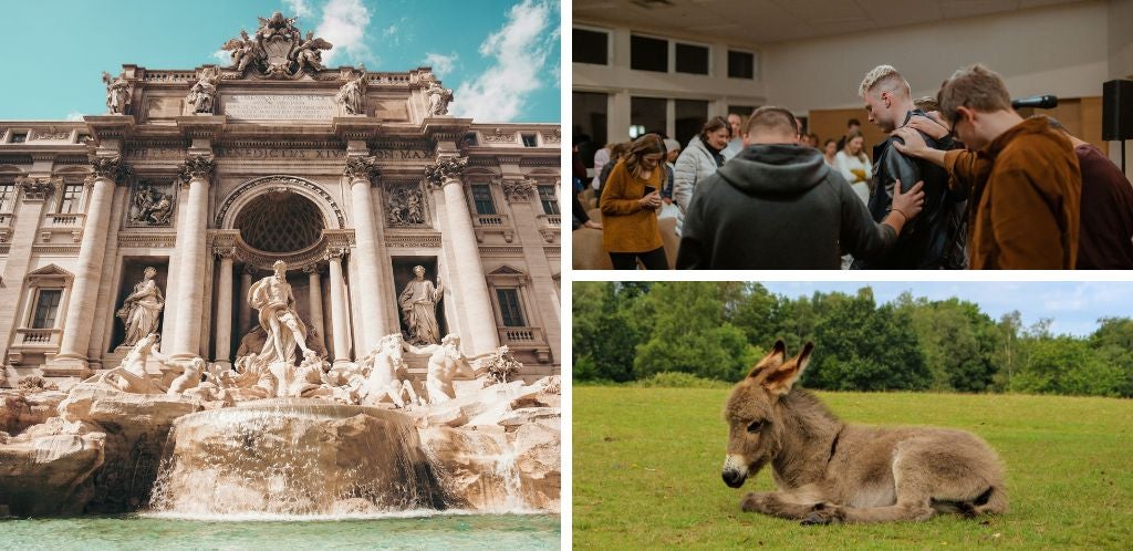 Activities with animals and networking in Rome’s colivings; Trevi Fountain