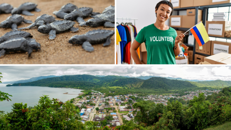 volunteering projects