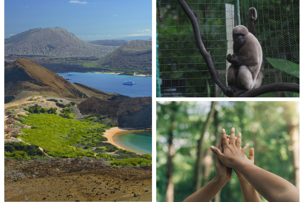 types of volunteer work