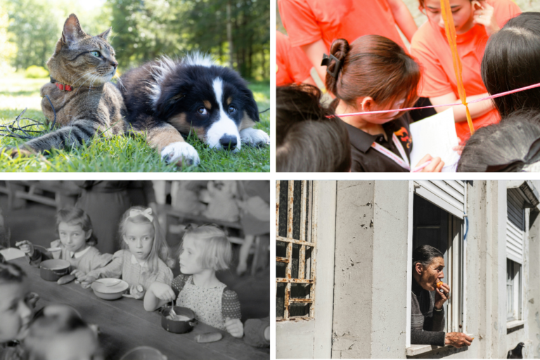 types of volunteer work