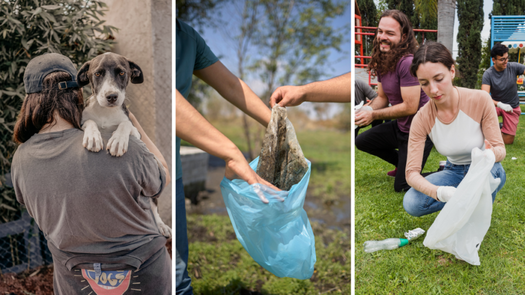 Volunteer opportunities