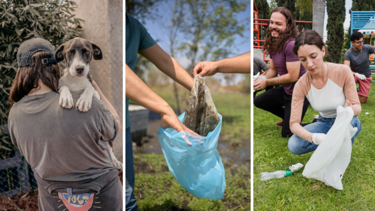 Volunteer opportunities