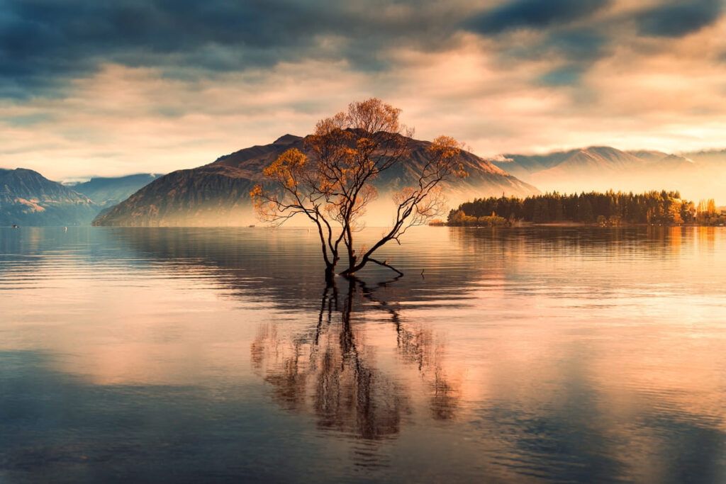 New zealand south island road trip third stop wanaka