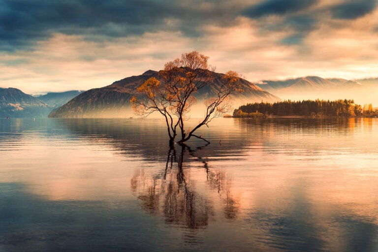 New zealand south island road trip third stop wanaka