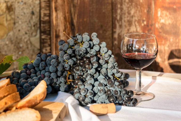 Italy winter weather wine tastings