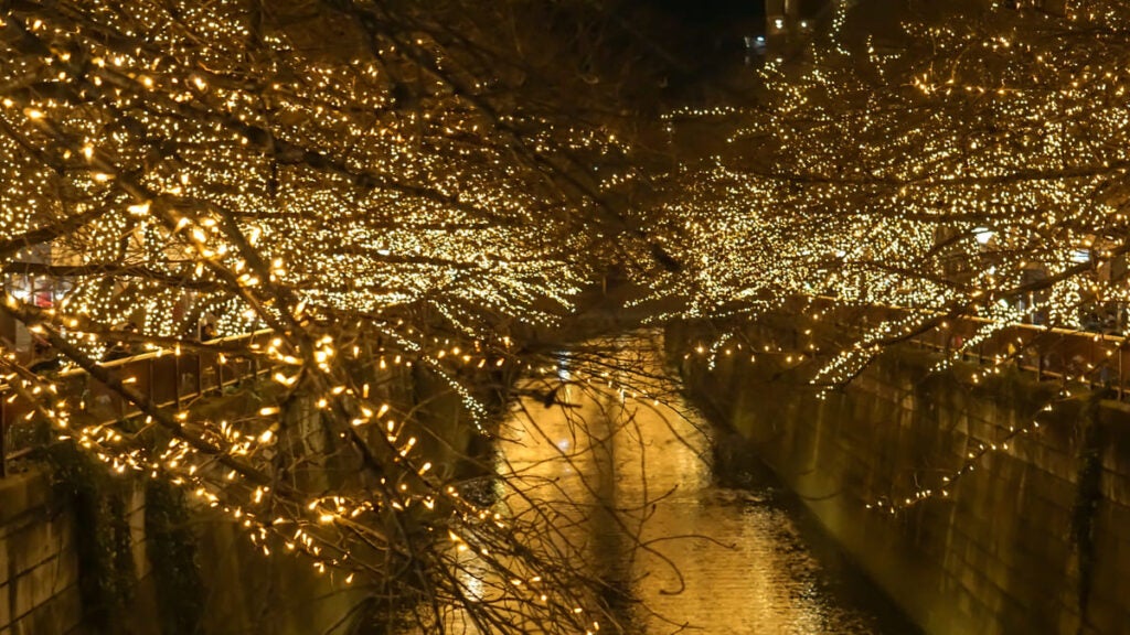 Christmas illumination in Tokyo