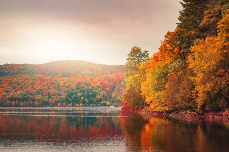 Autumn colors in Gatineau Park