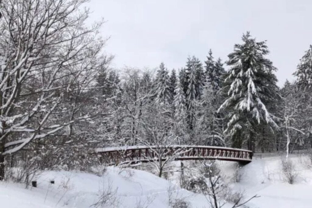 Winter view at Gatineau Park. 