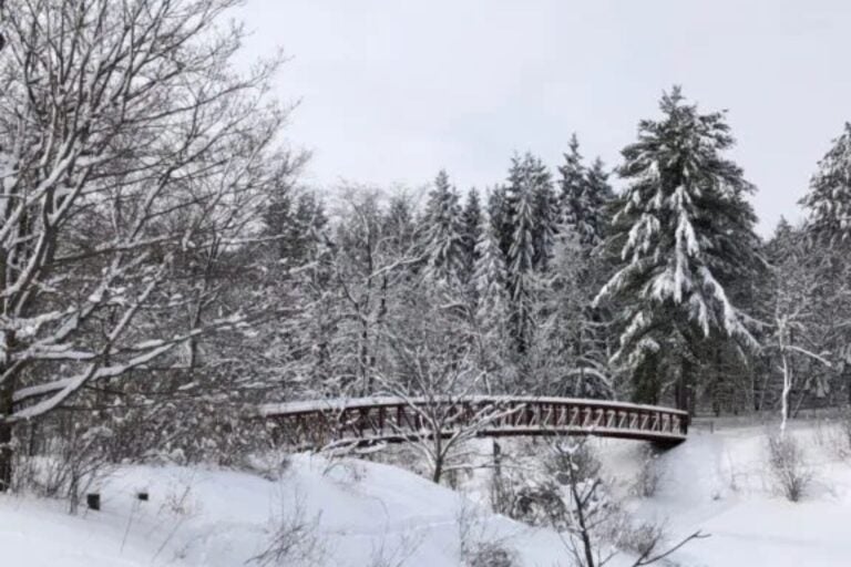 Winter view at Gatineau Park.